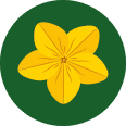Uithovenier